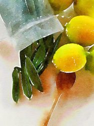 Waterlogue edit of home grown limes and bay leaves