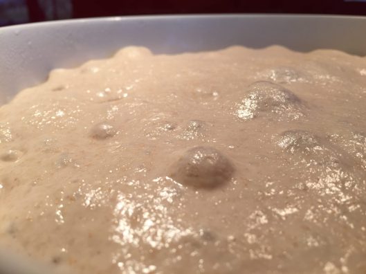Dough after overnight prove