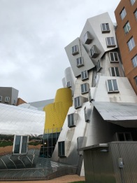 Frank Gehry Architecture, MIT, Boston, Massachusetts